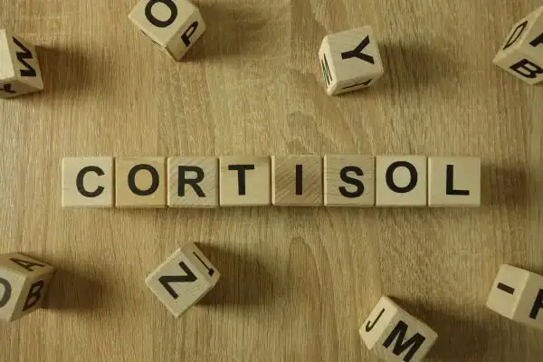 The Hidden Connection: How Stress Shapes Your Fitness and Body Composition 2 Image saying "Cortisol" and how stress Godalming impacts your wellbeing and bodies shape